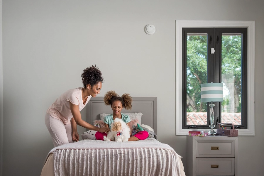 smoke & carbon detector Logan